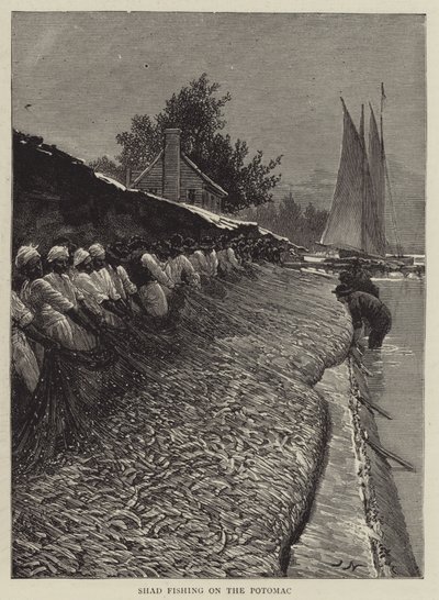 Pesca allo shad sul Potomac da Joseph Nash